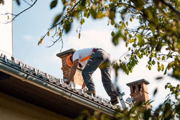 Roof Installation Near Me in Rogers City, MI