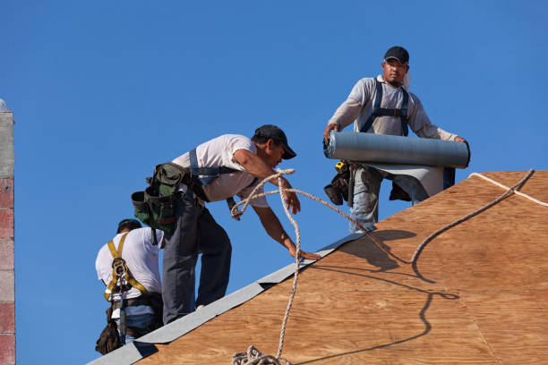 Best Residential Roof Replacement  in Rogers City, MI