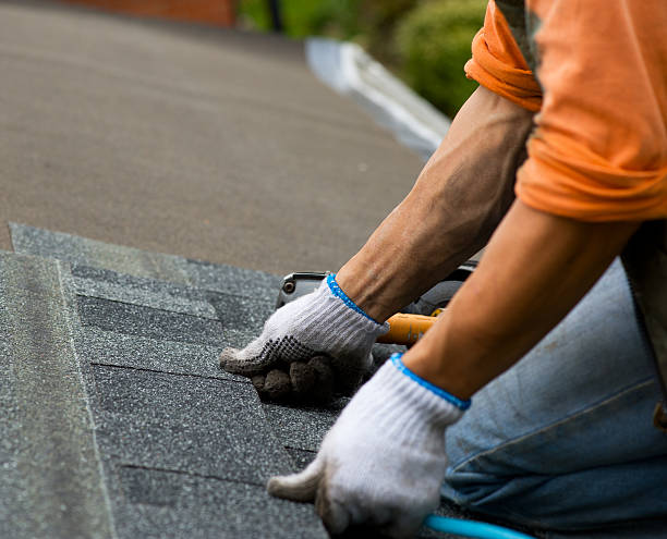 Best Roof Leak Repair  in Rogers City, MI